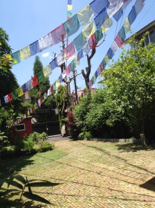 The house draped in Buddhist prayer flags